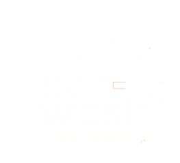 Car Wash con Gancho
